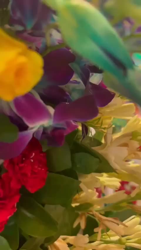 @Sunil