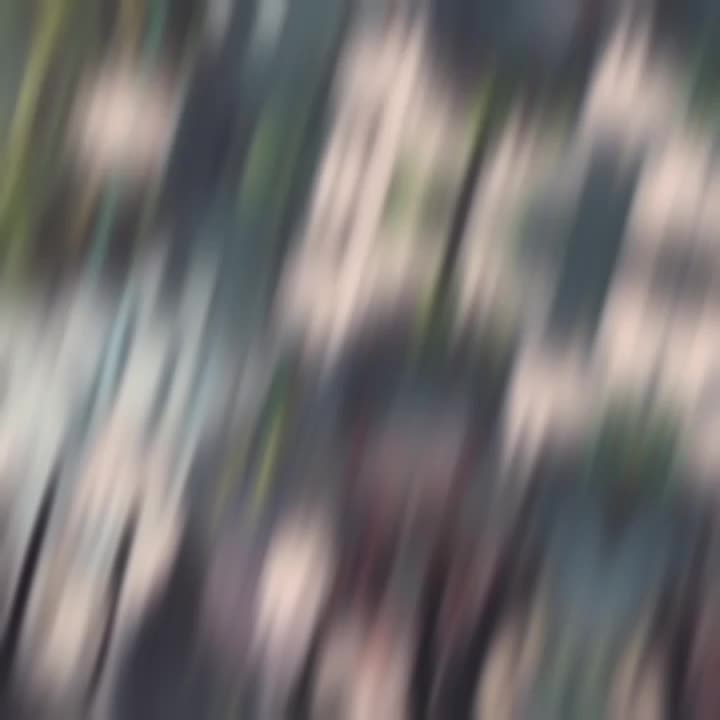 @𒉭Хикари 🐳(!)
