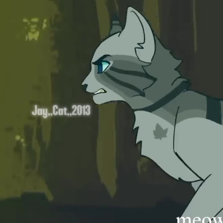 @Jay.Cat.2013