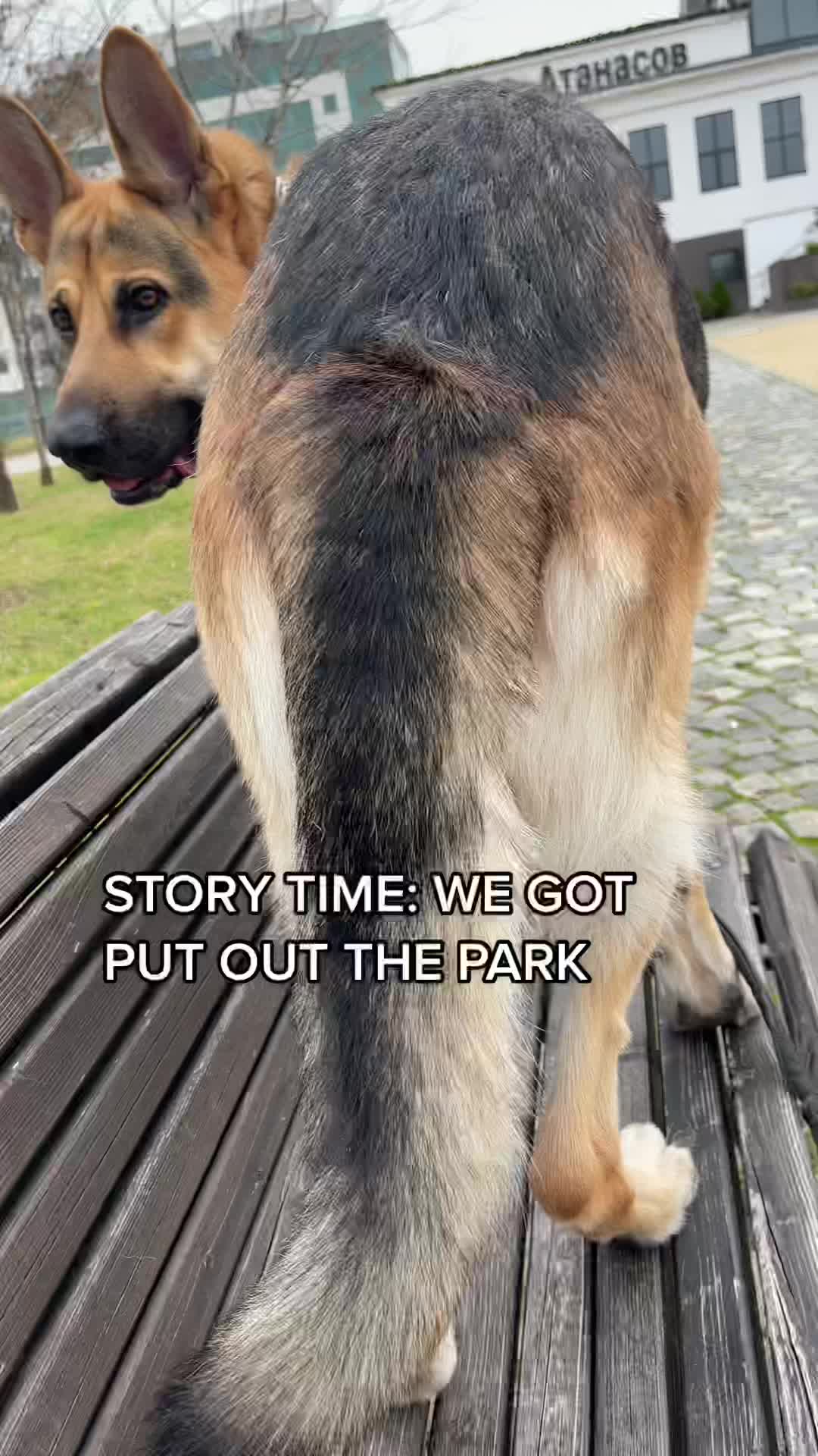@@Armanianddme
