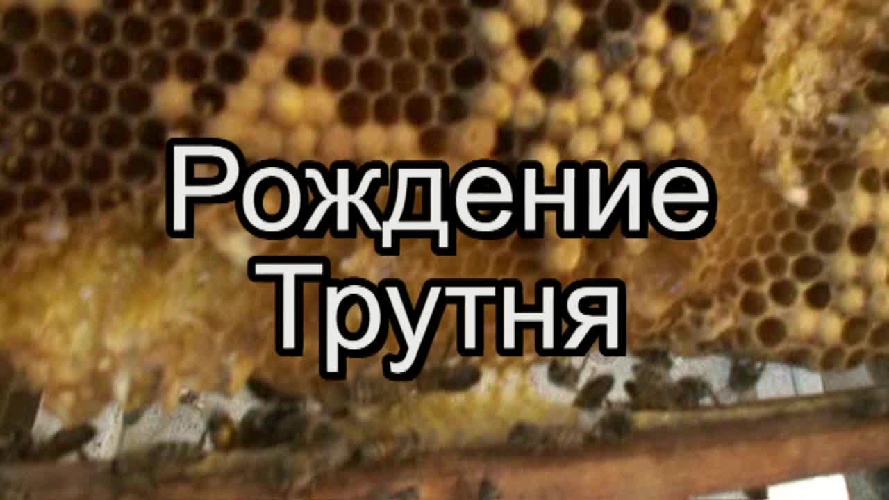 @Алексей