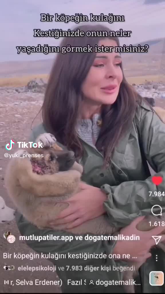 @LEYLİ ELEKBERZADE