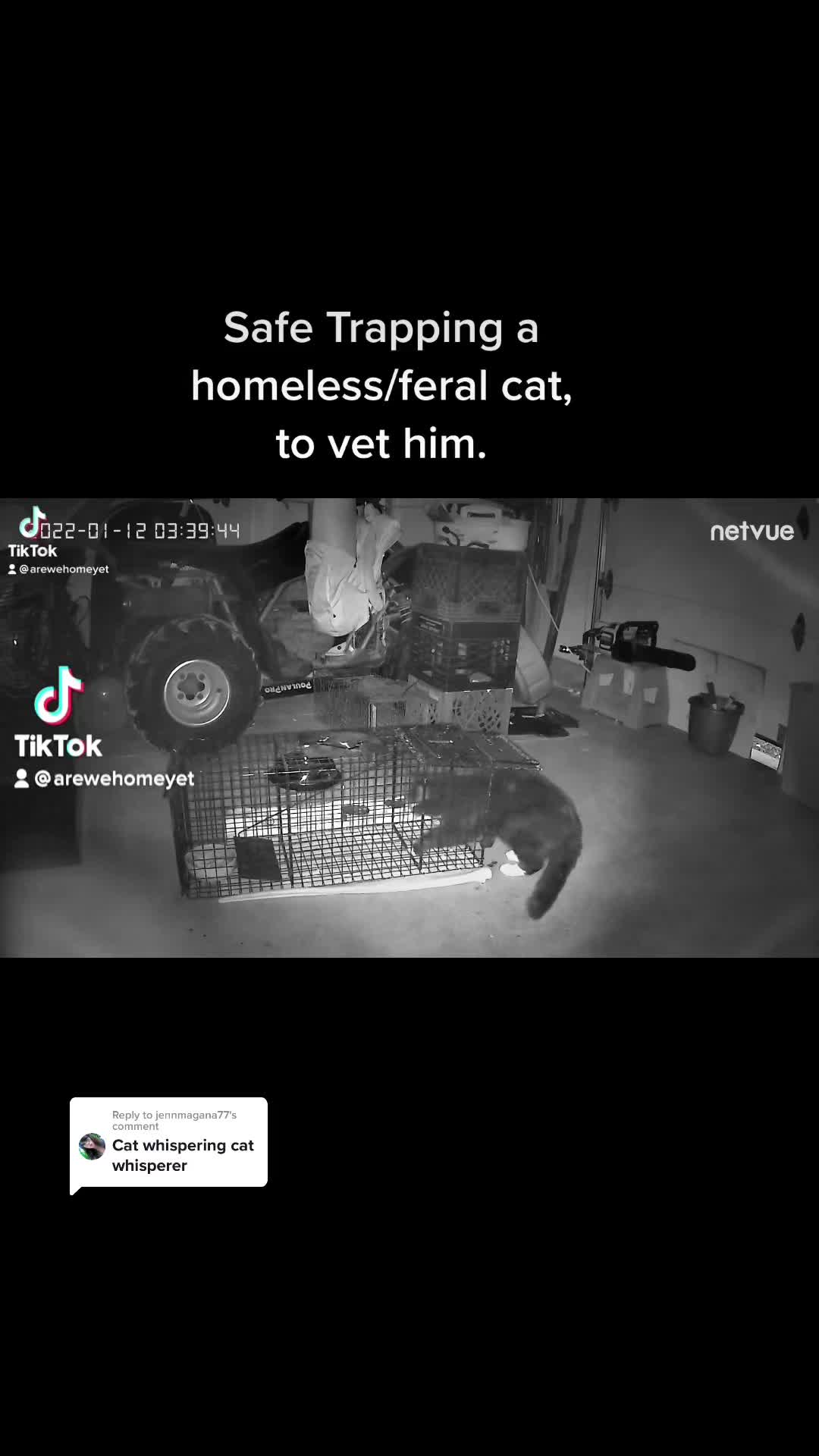 @Are We Home Yet? Cat Sanctuary