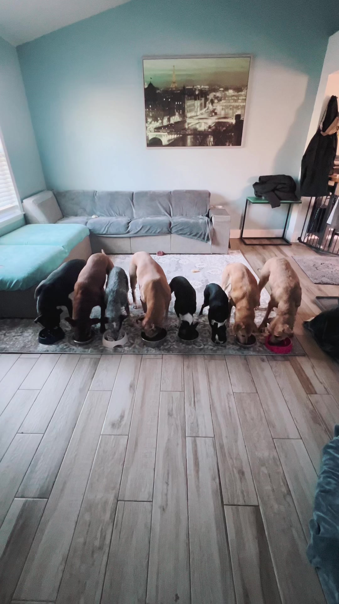 @thewoofpacknc