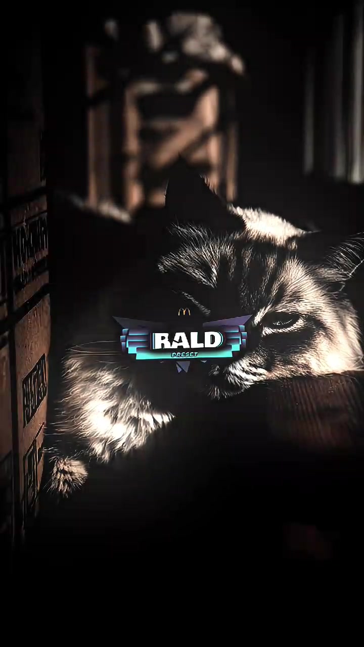 @𝙍ald 𝙋rst