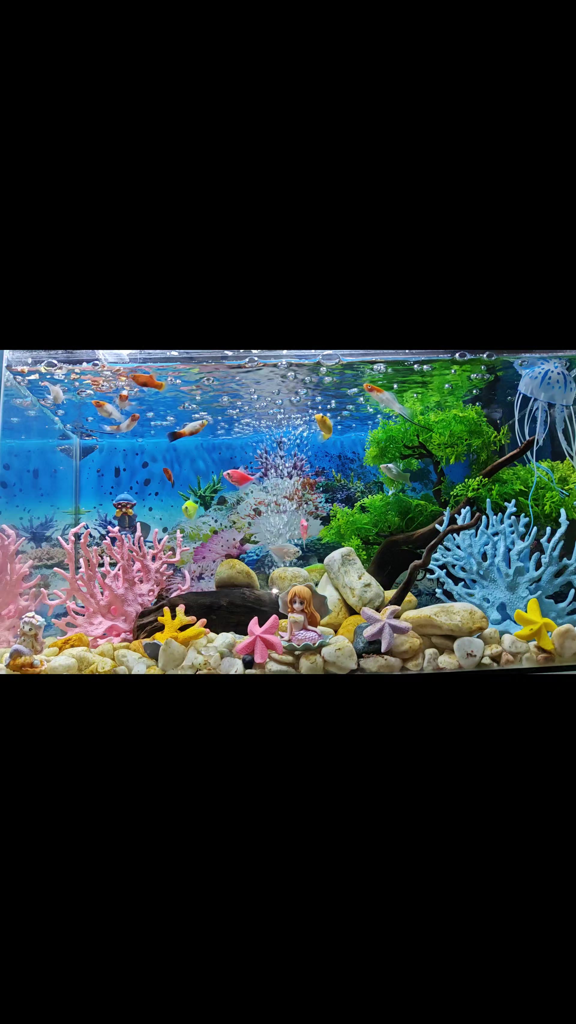 @Tath's ♡