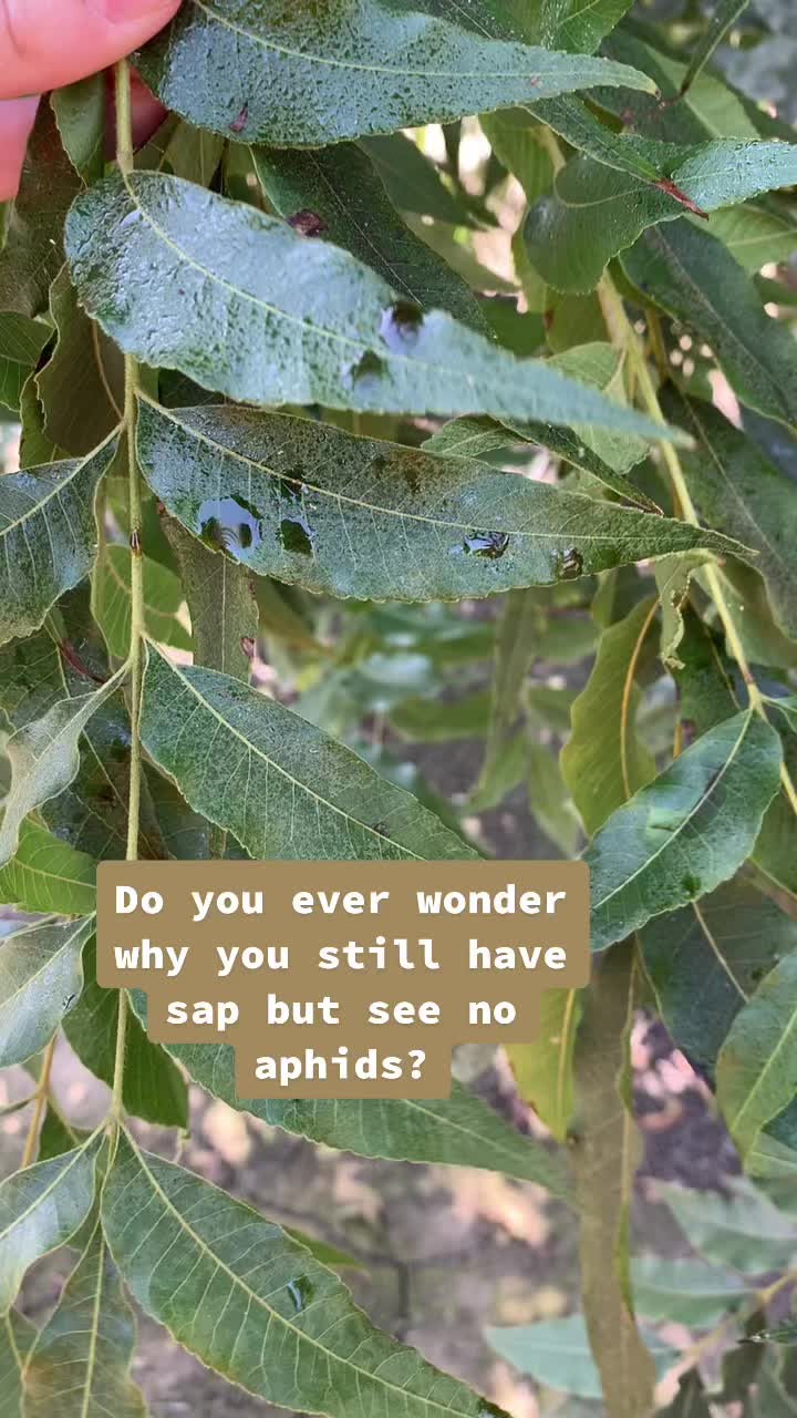 @soilbasics