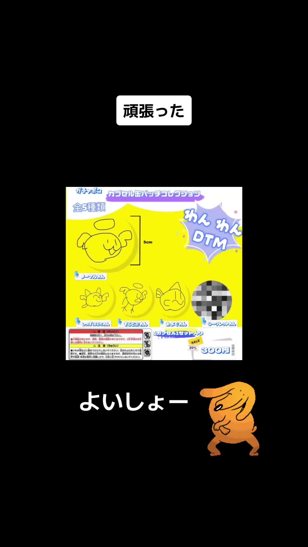 @わんわんDTM