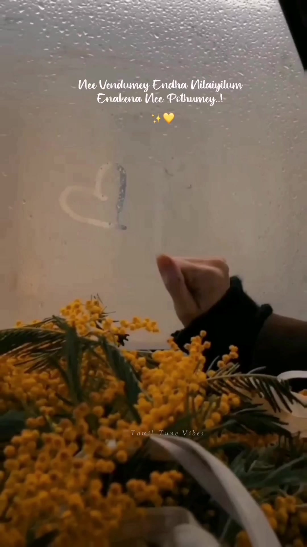 @TamilTuneVibes✨