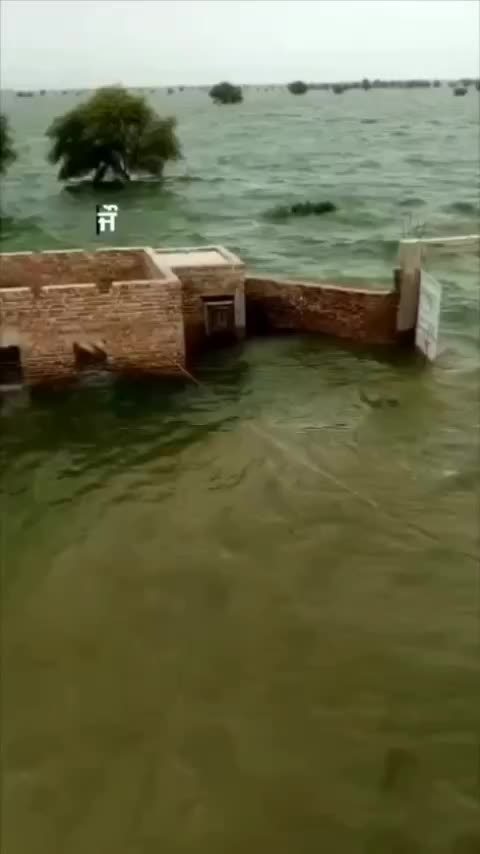 @chaudarysaab