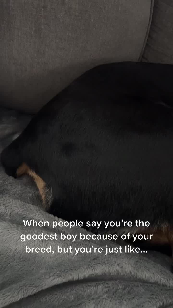 @Jenna