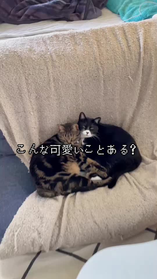 @バギー