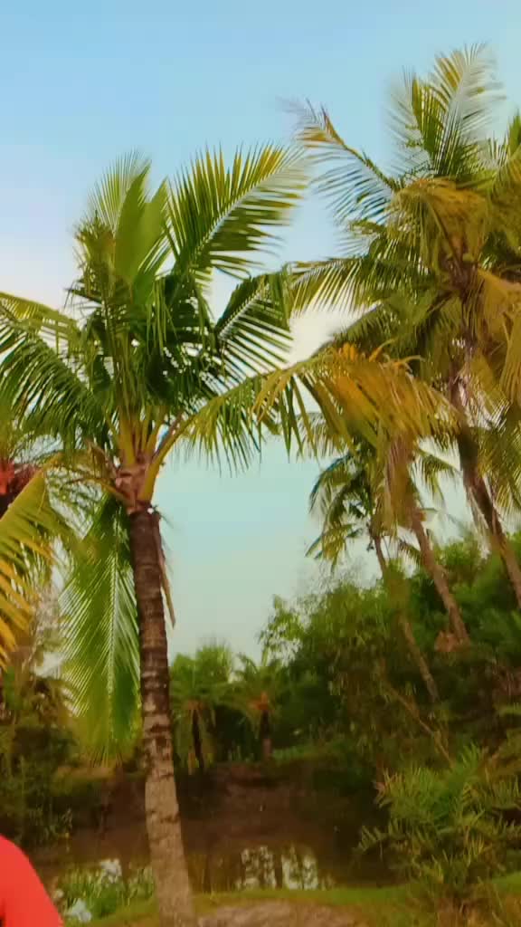 @জামাইয়ের পিচ্ছি বউ