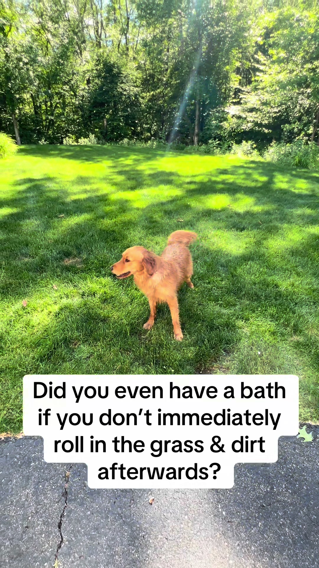 @Adventures of Gunner & Cookie