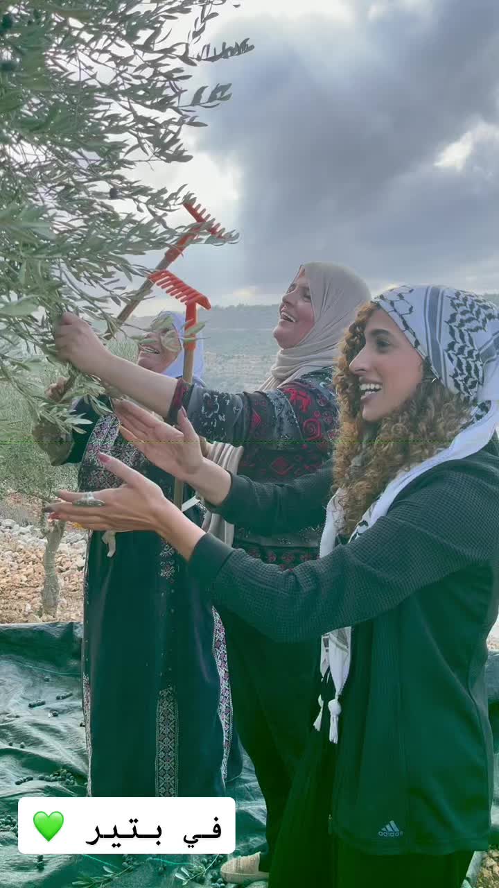 @Aya khalaf