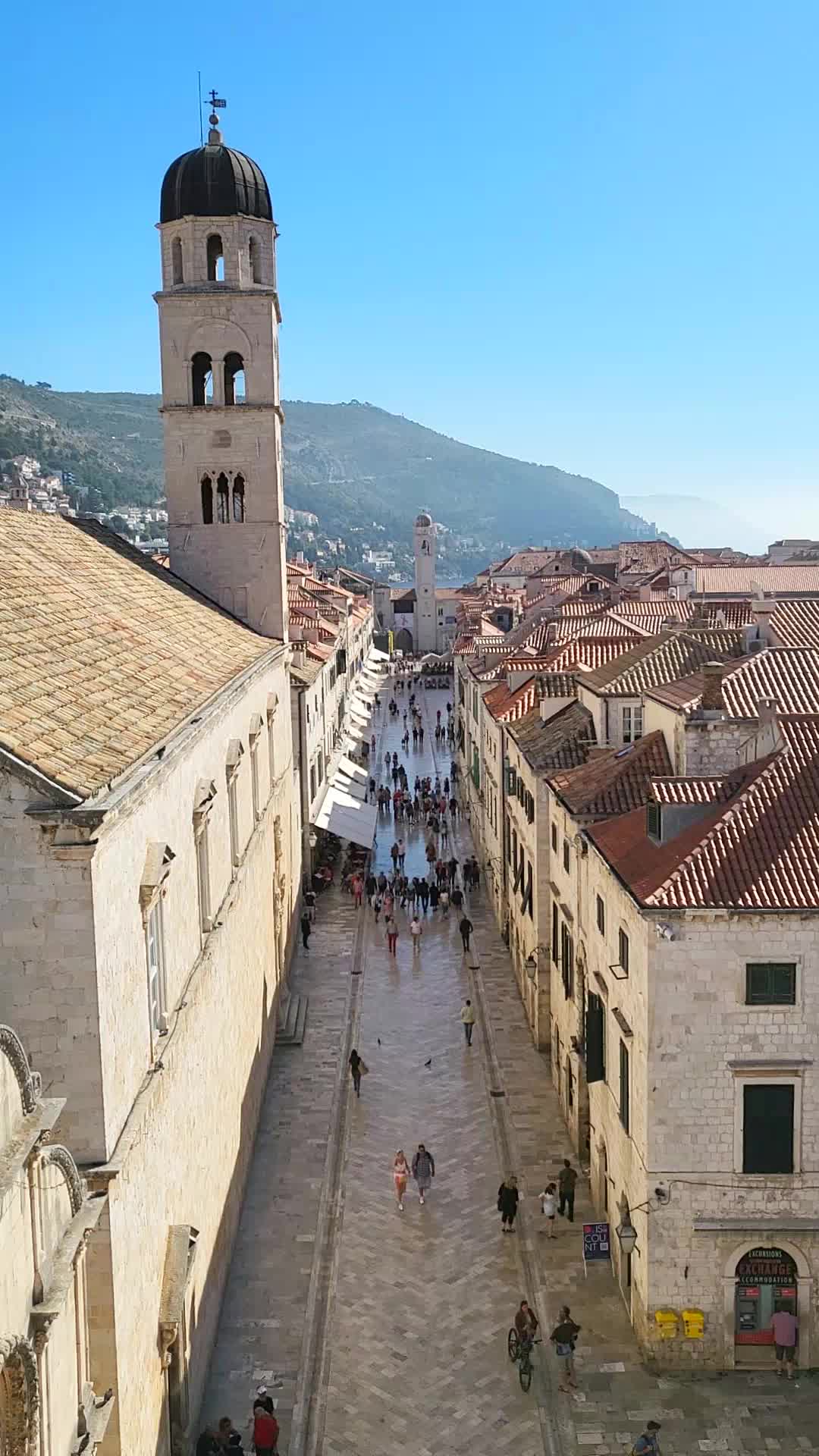 @TravelDino
