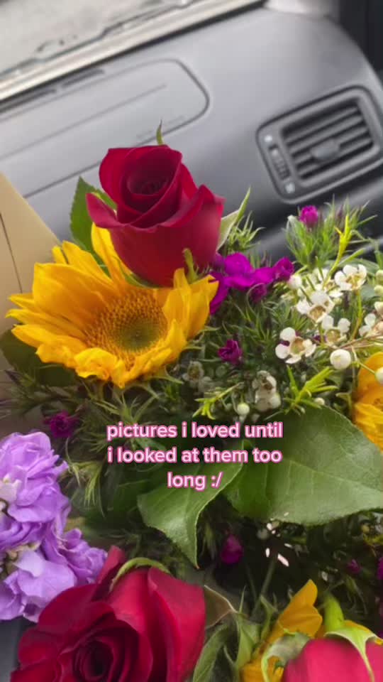 @hailee