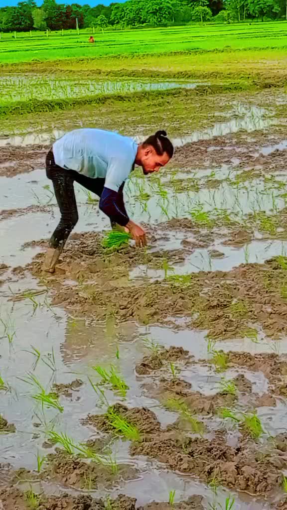 @Sahbaj Khan