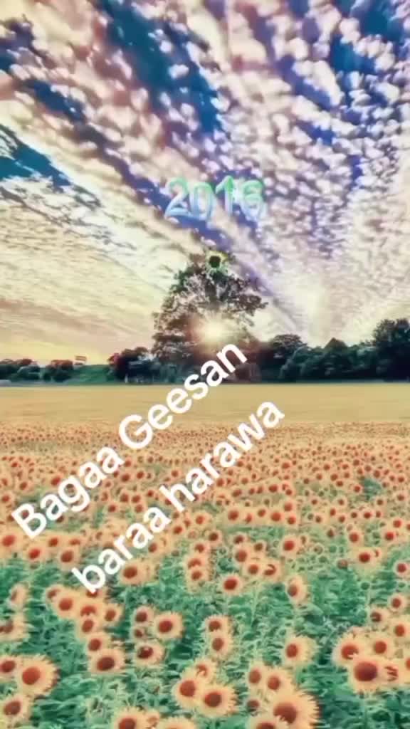 @Love ❤ Love ❤ Love ❤ Love ❤ 😍