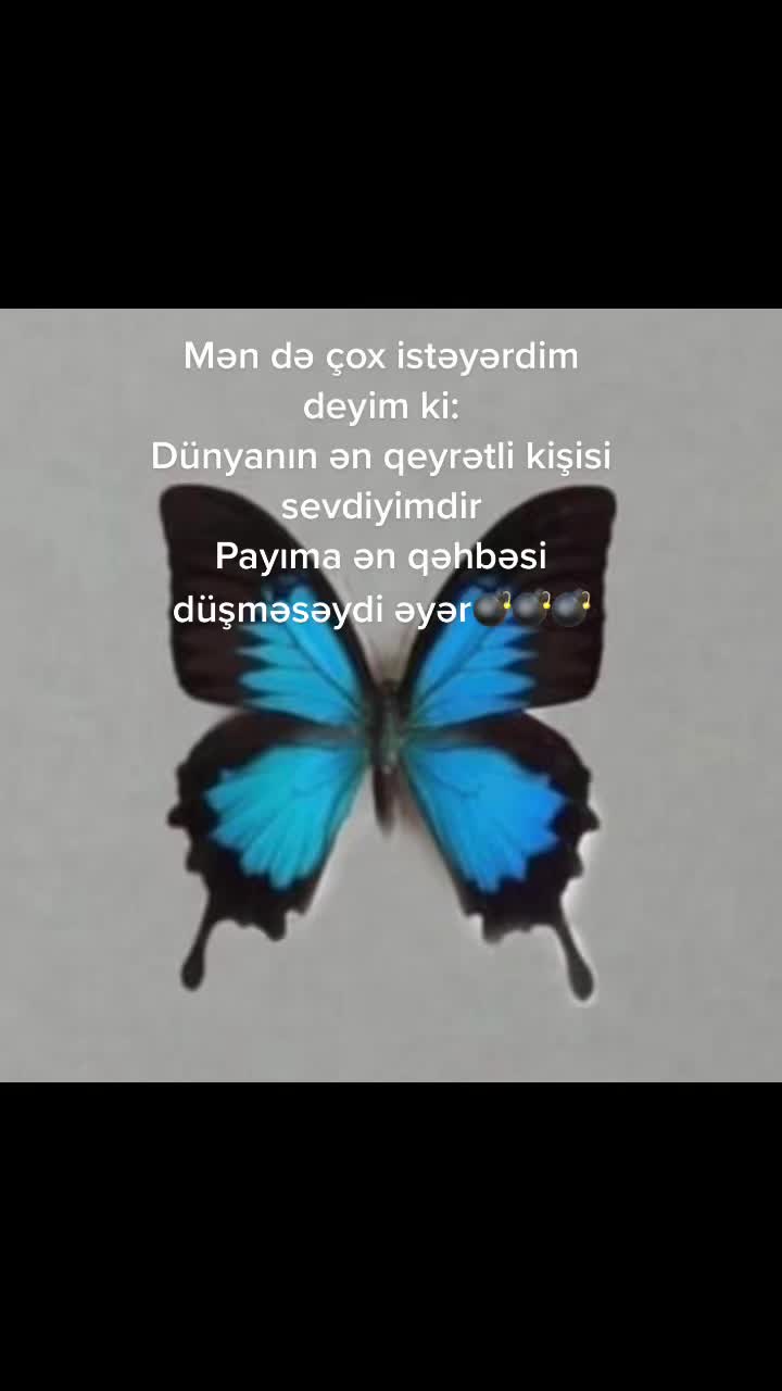 @Bilush♌️🖤🦋