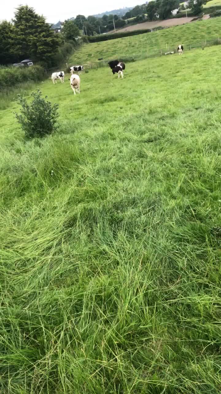 @FARMvisor