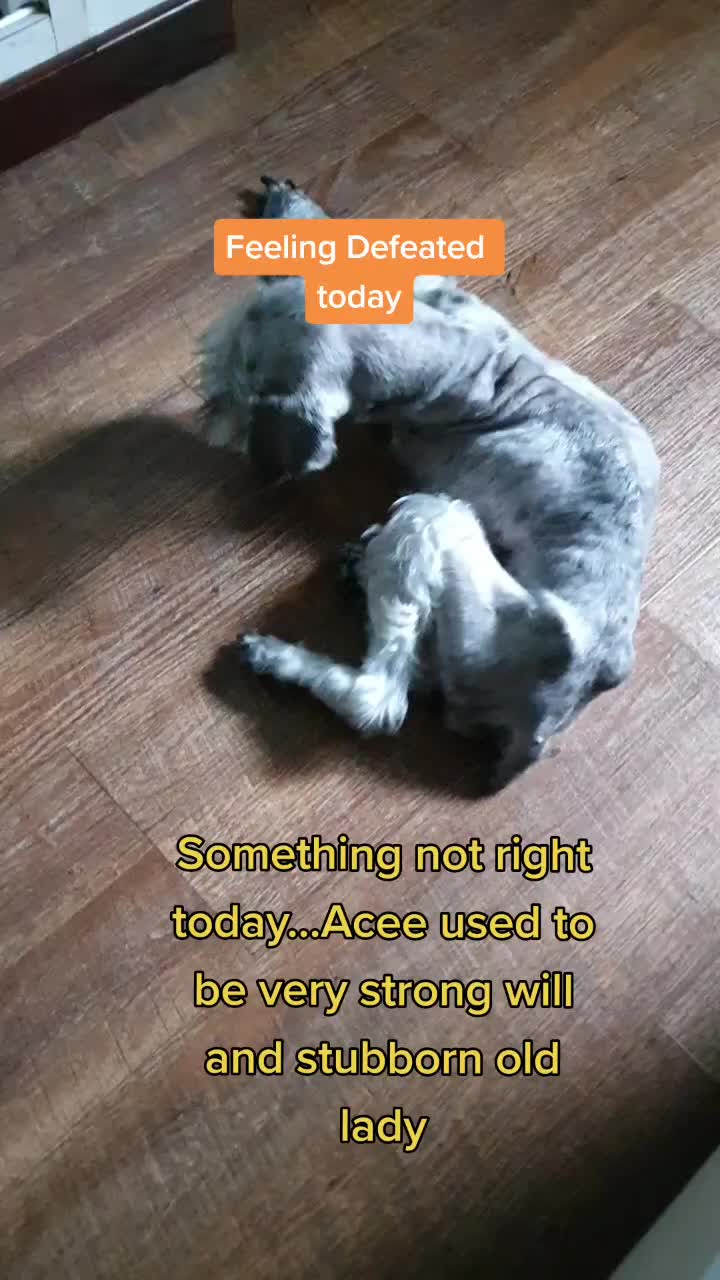 @Acee