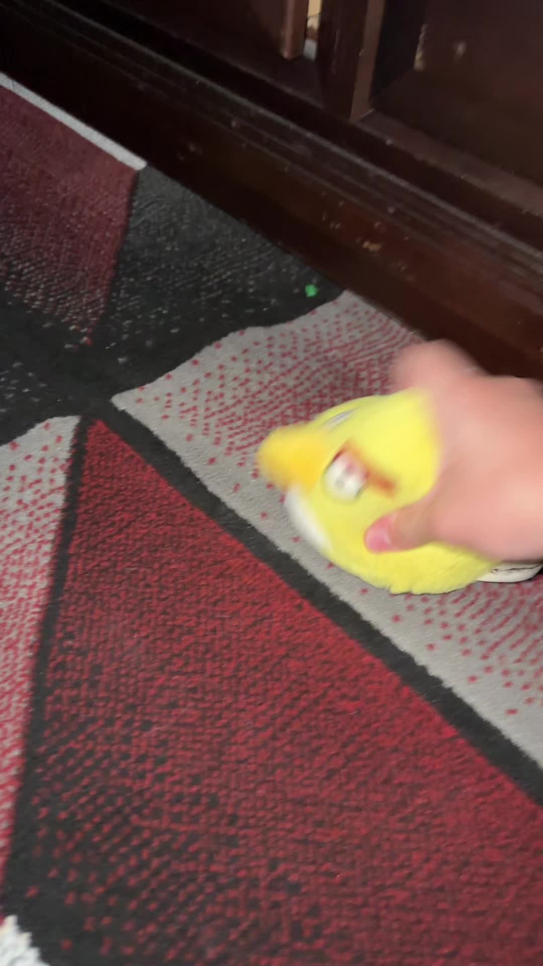 @Pig