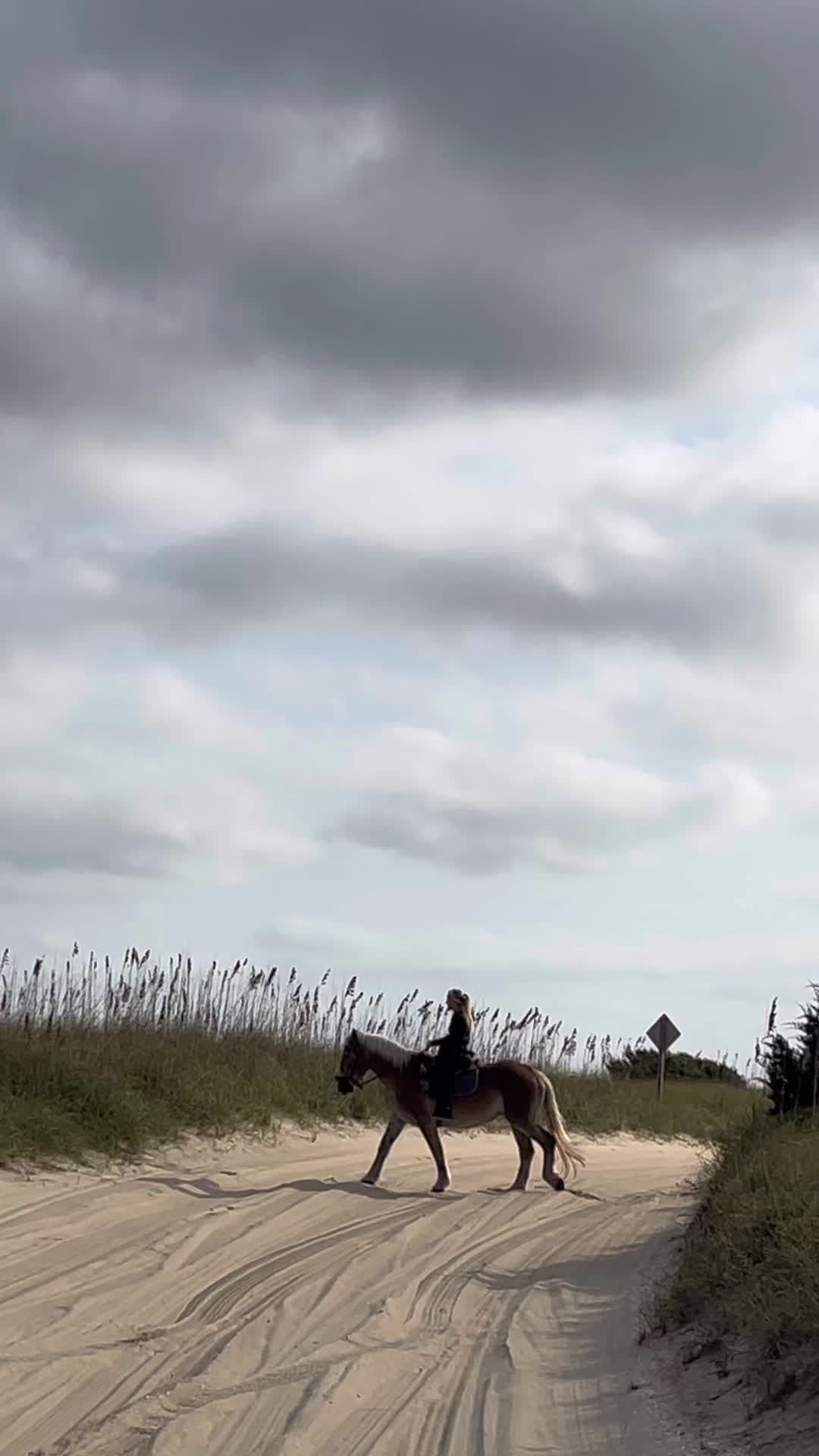 @BeachWavesTX