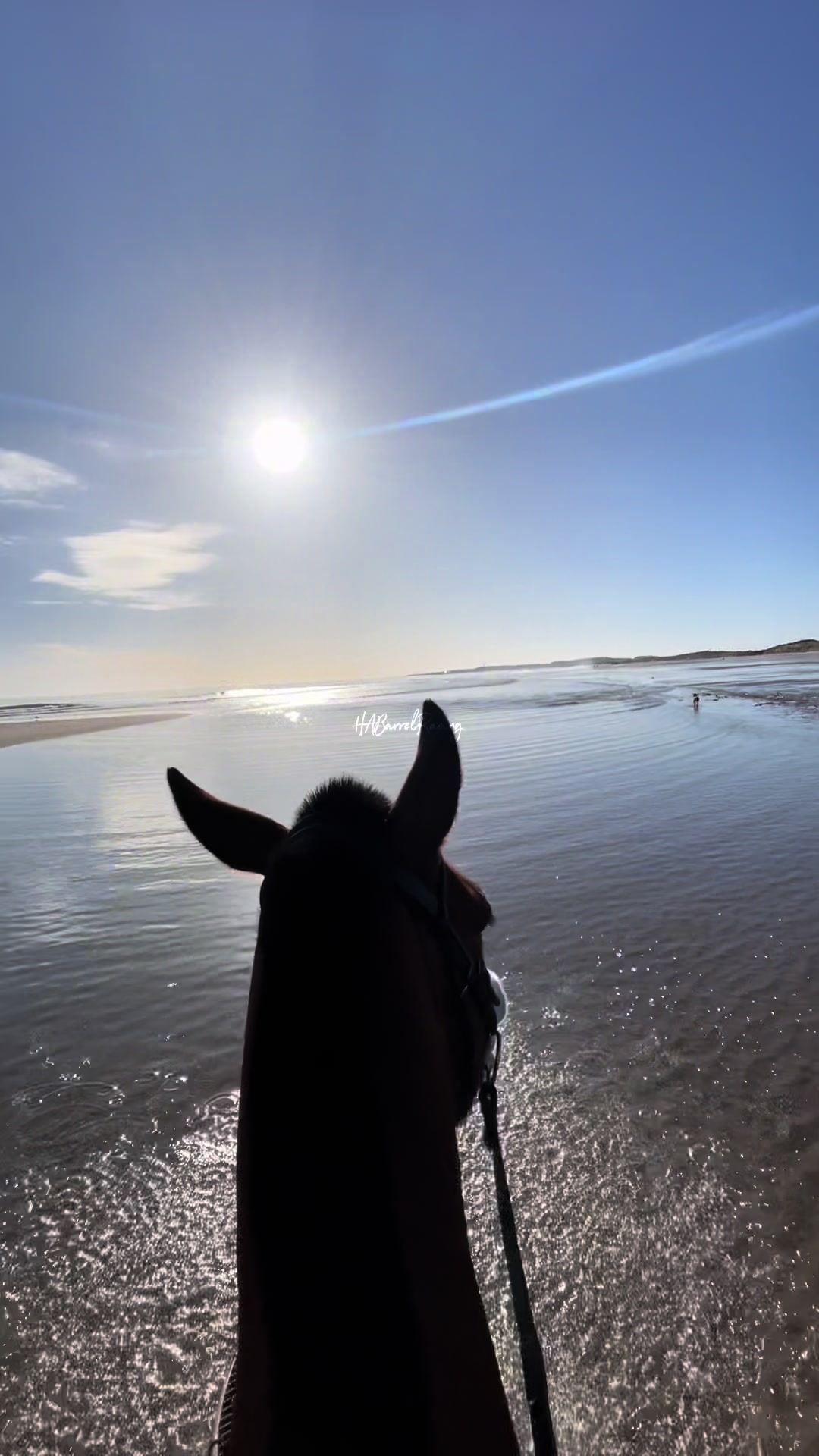 @Yardd | Equine Life Simplified