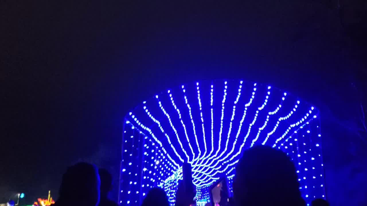 @texastammy
