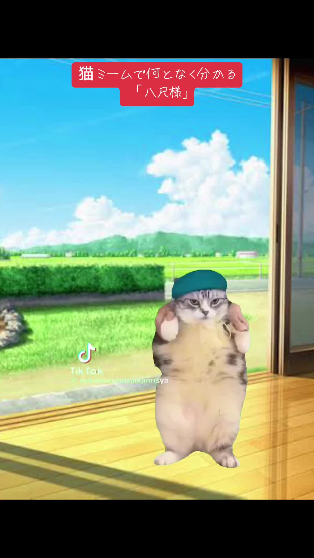 @こわぞう