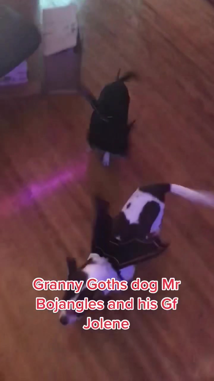 @Granny Goth Rauncie