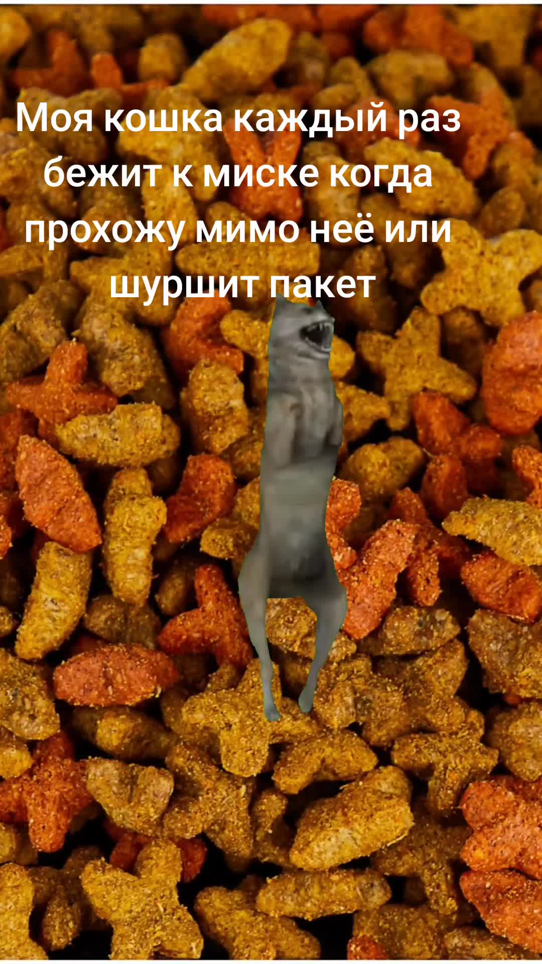@Таня Цветкова