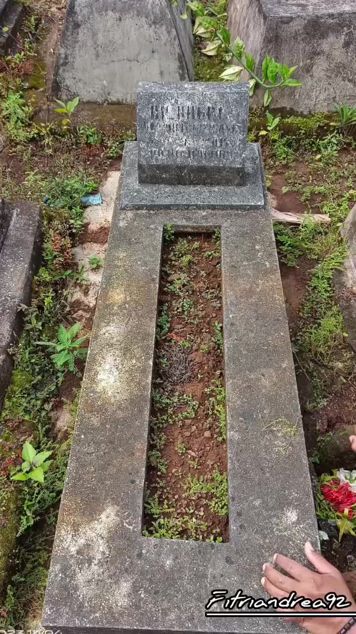 @user56539308321