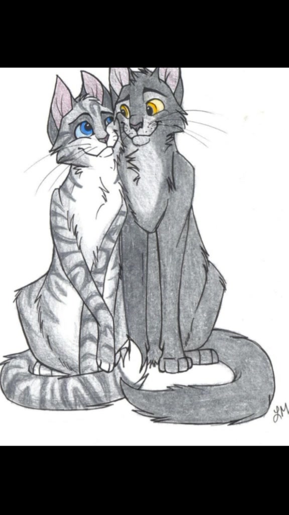 @Warrior Cats