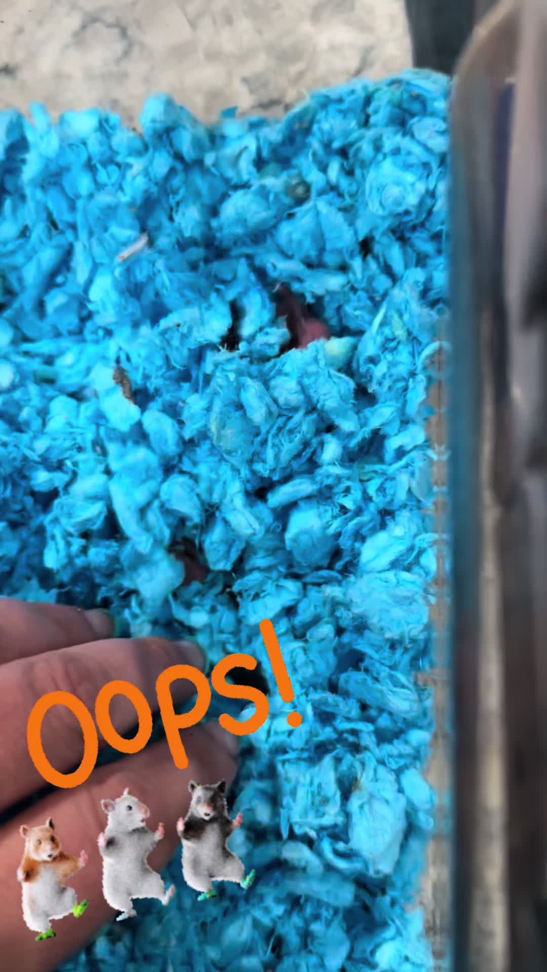 @Courtney1033