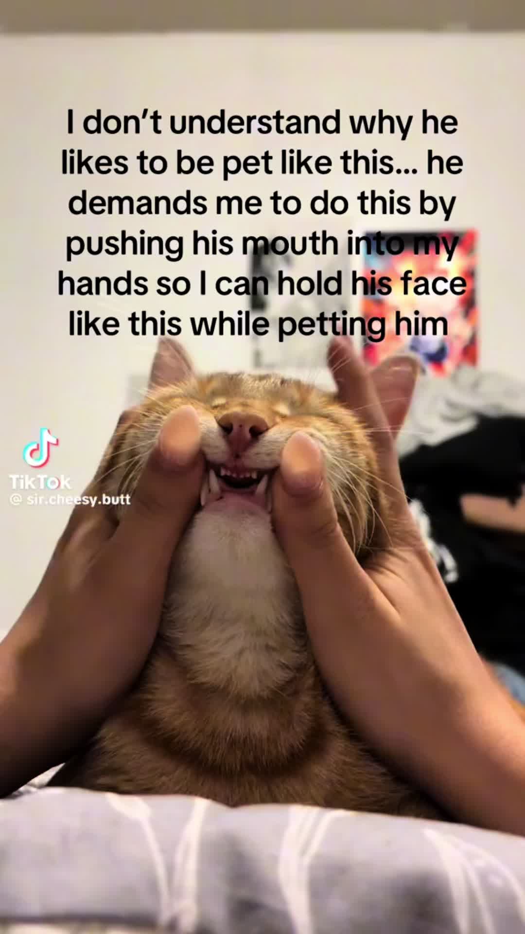 @Hayden.Reads