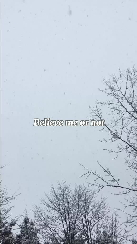 @wehhwoh