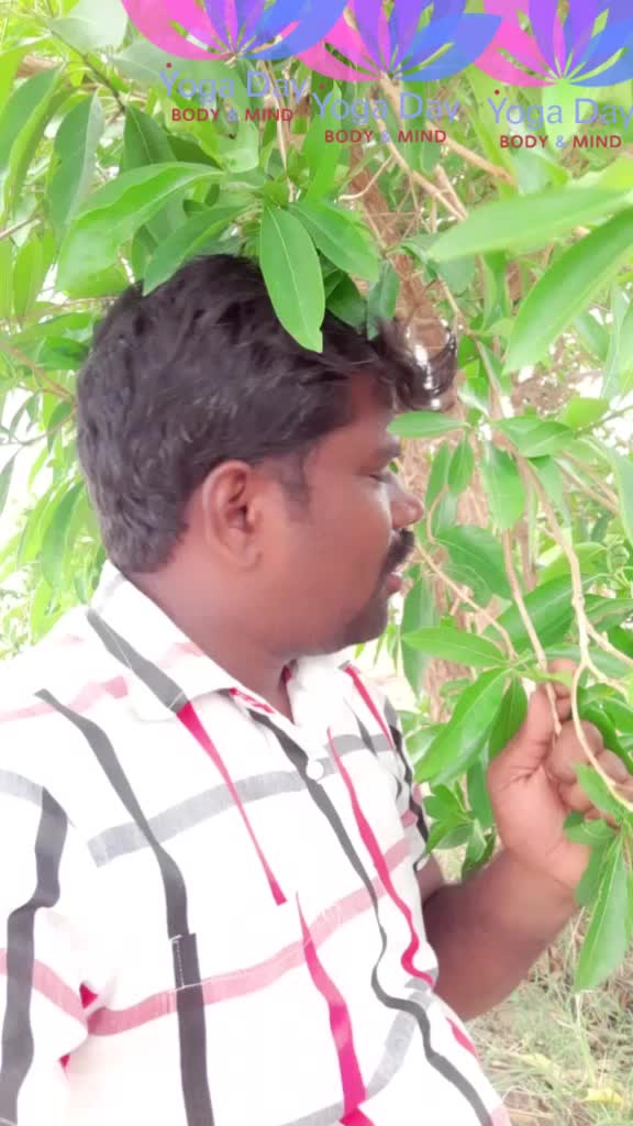 @சரவணன் நாயக்கர்