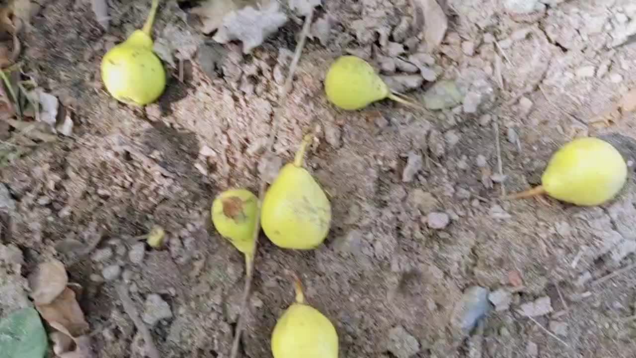 @reshma_09