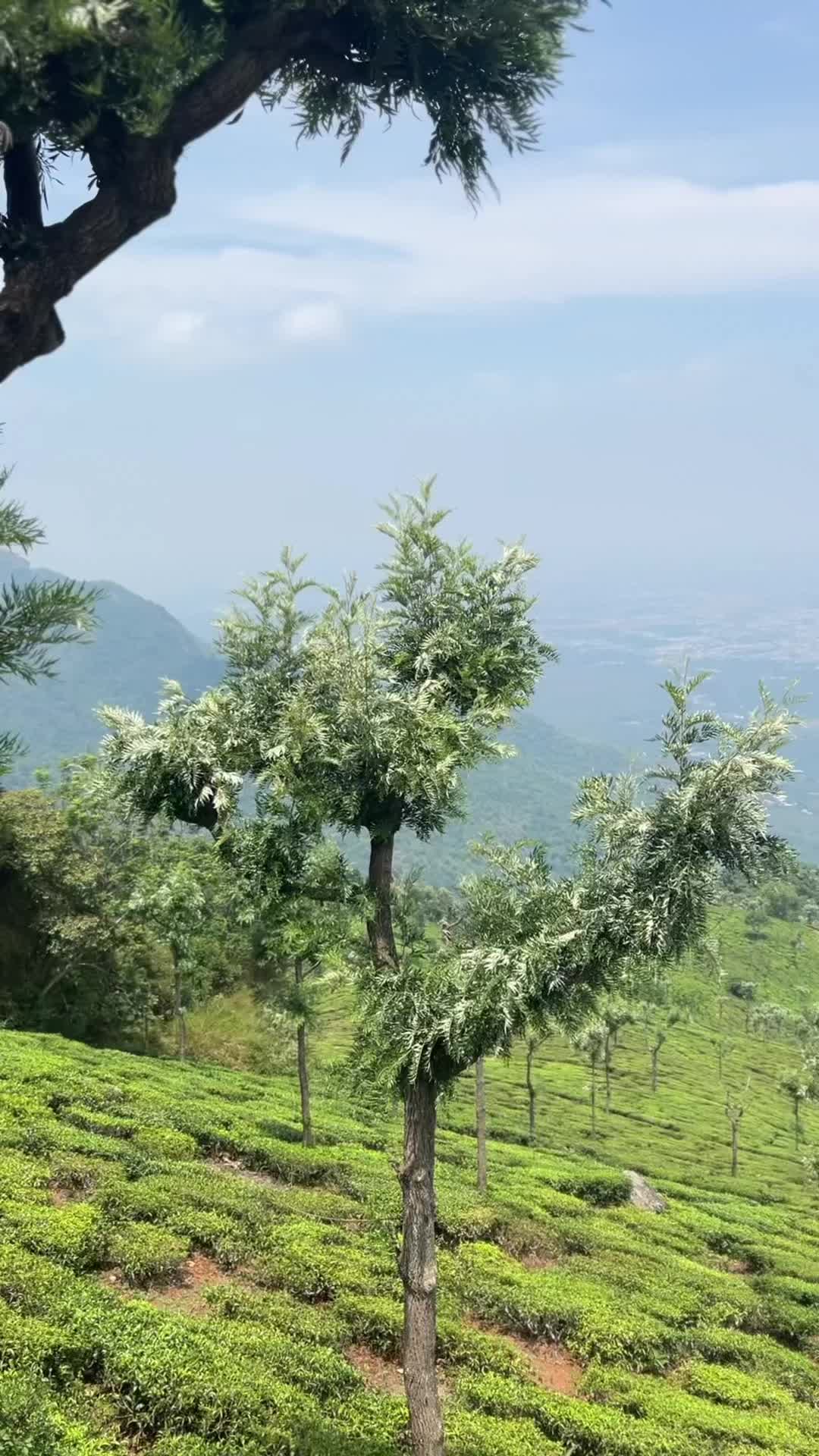 @Riyas Kallambalam