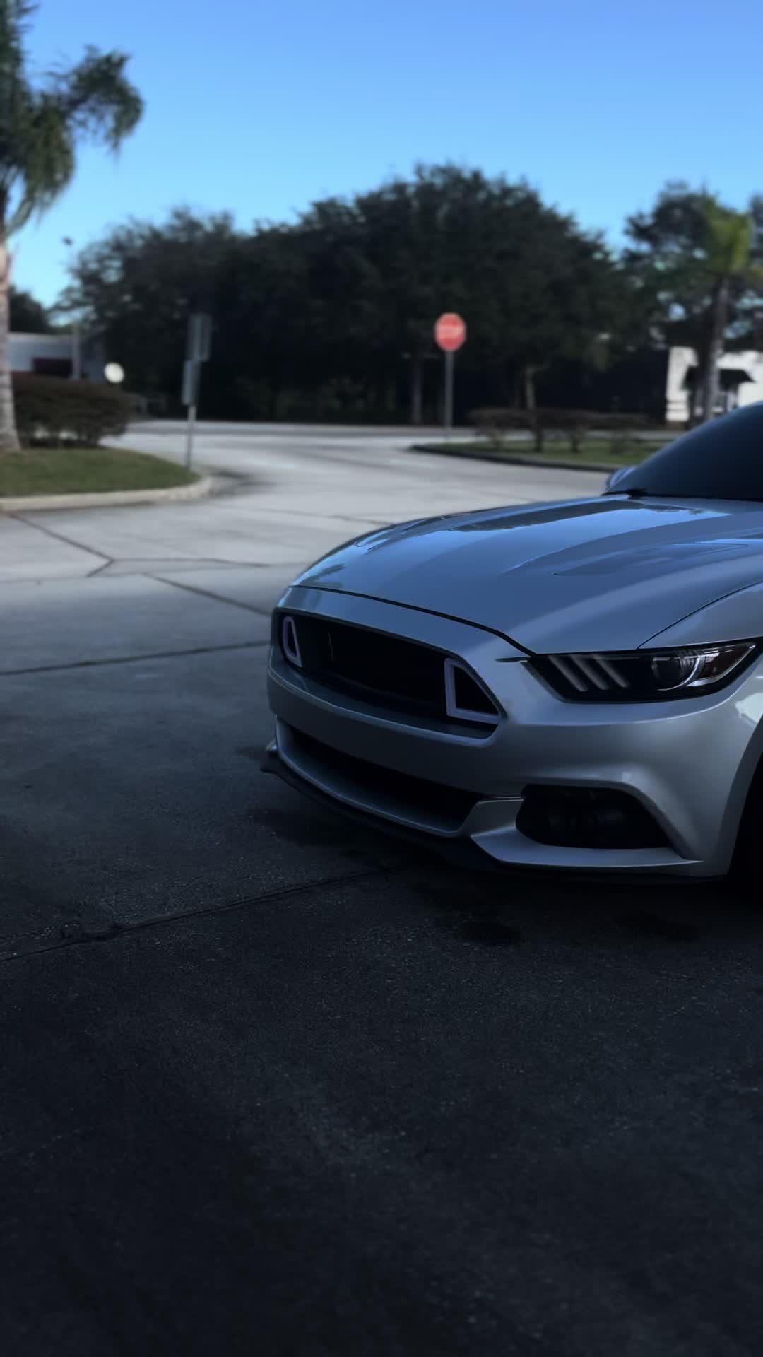 @s1ow_s550