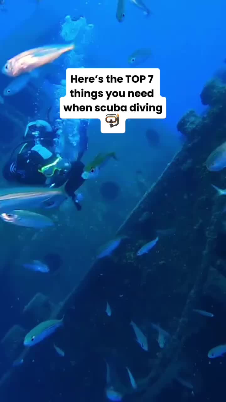 @Divernowmarine