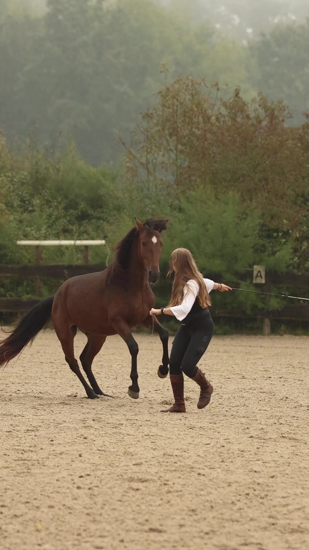 @FieryHorses ❤️&zwj;🔥