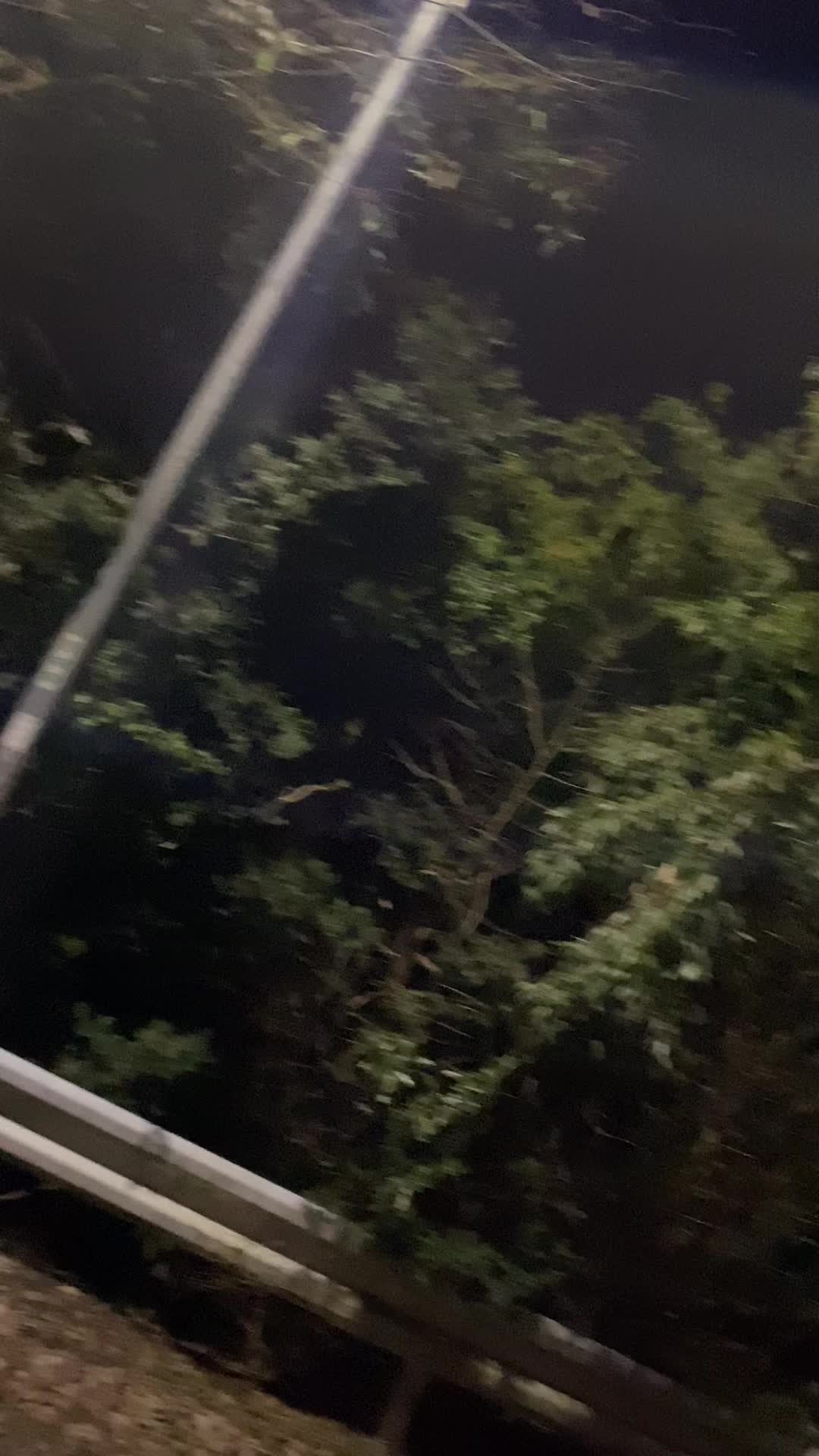 @和田の兄