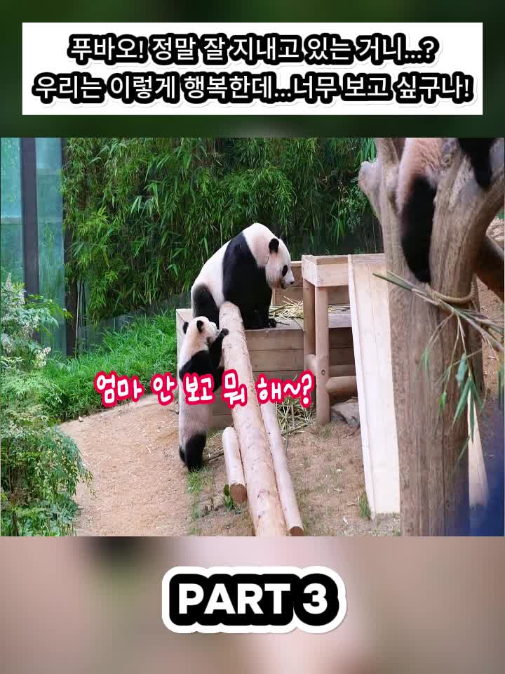 @Fubao Cute