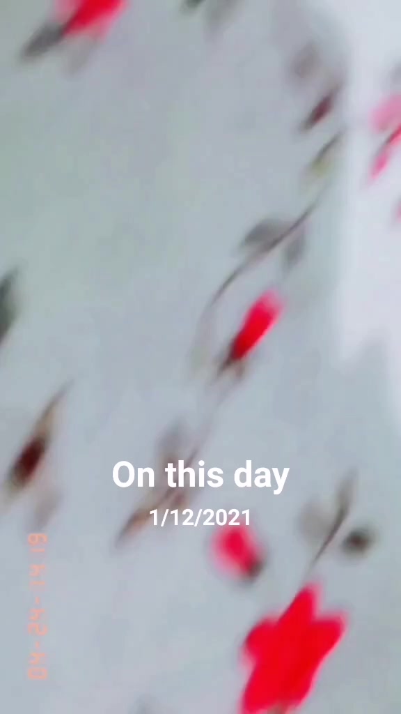 @_imti_î/$_