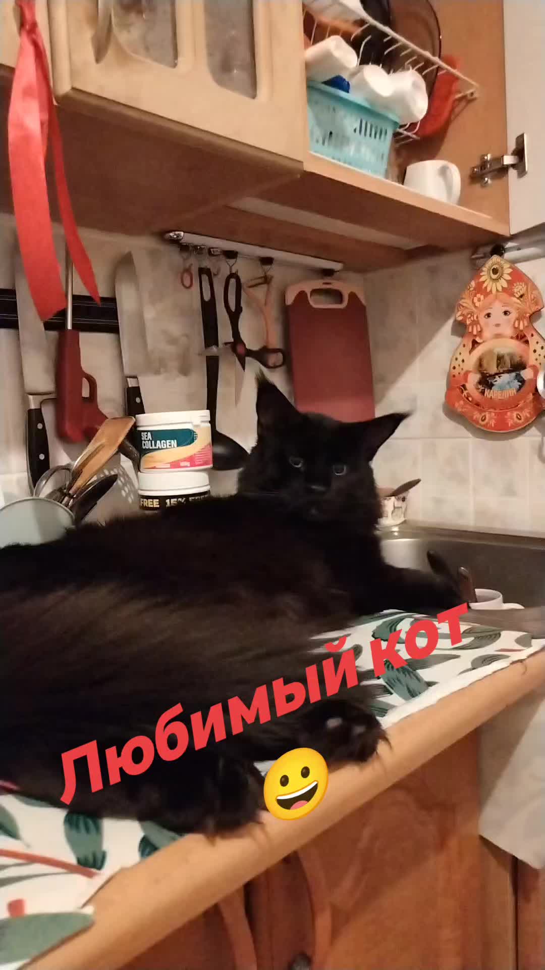@Елена Резникова
