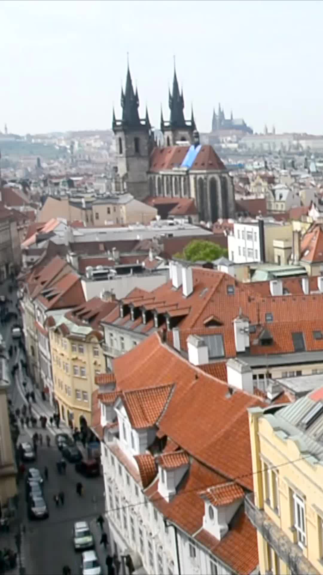 @TravelDino