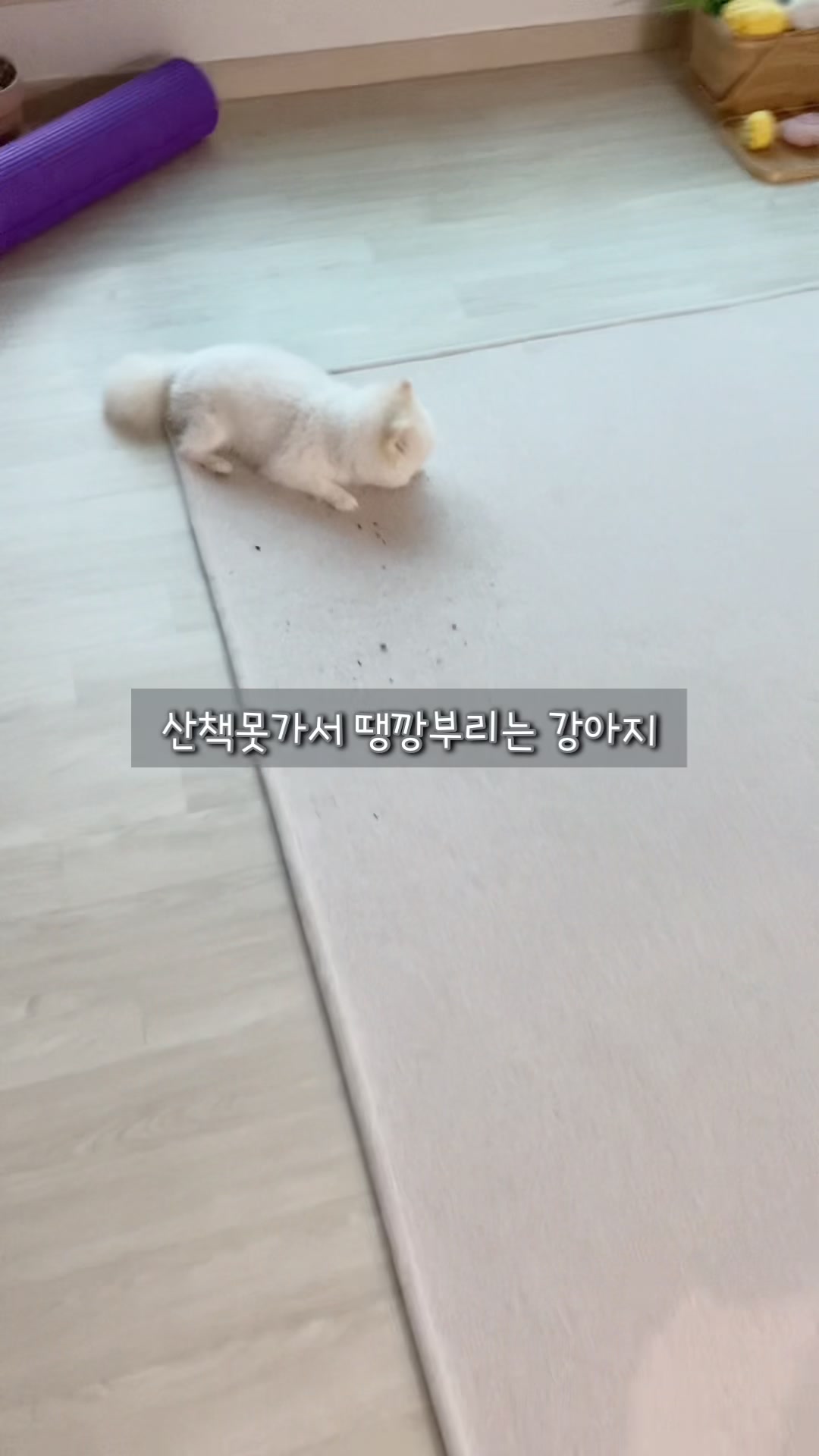 @권하리